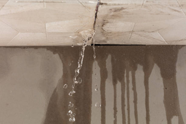 Professional Structural Drying technician working in Oriska, ND